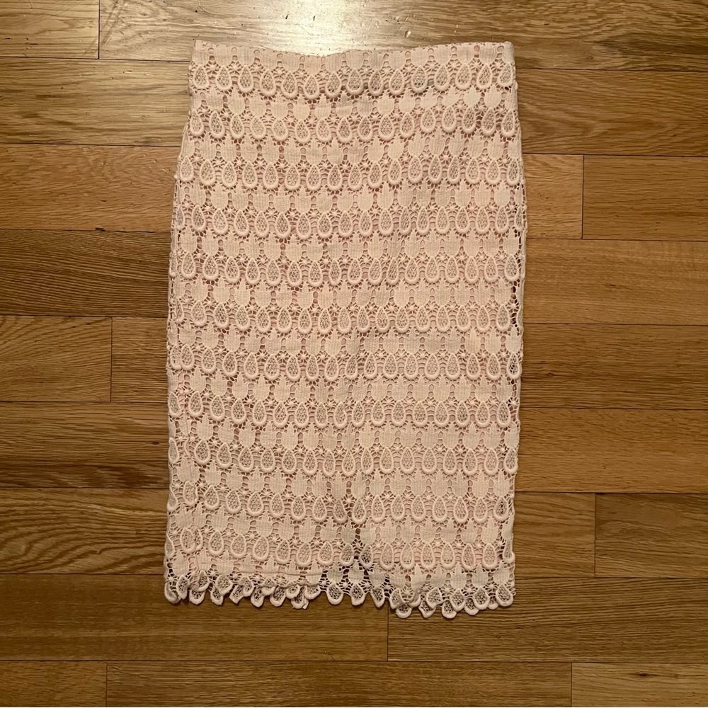Ann Taylor Crochet Pencil Skirt